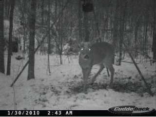 Property photo 11 - 1974 Acres in 23 Tracts Located in Christian, Hopkins & Edmonson County, Kentucky